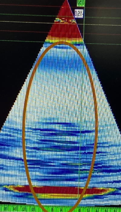 HTHA scan